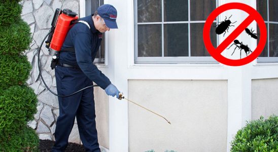 Alaçatı Fare İlaçlama böcek ilaçlama ve haşere kontrolü — ilaclama-tr.com